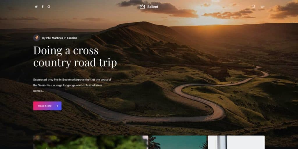 Salient is a great WordPress theme choice for lifestyle blogs