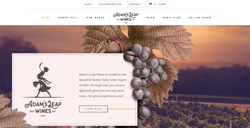 Example of a gorgeous wine website built with Divi